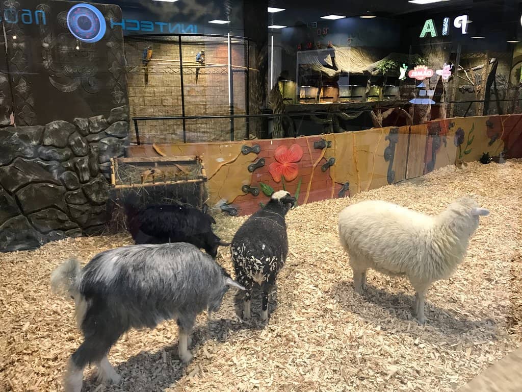 Diverse Retail Options