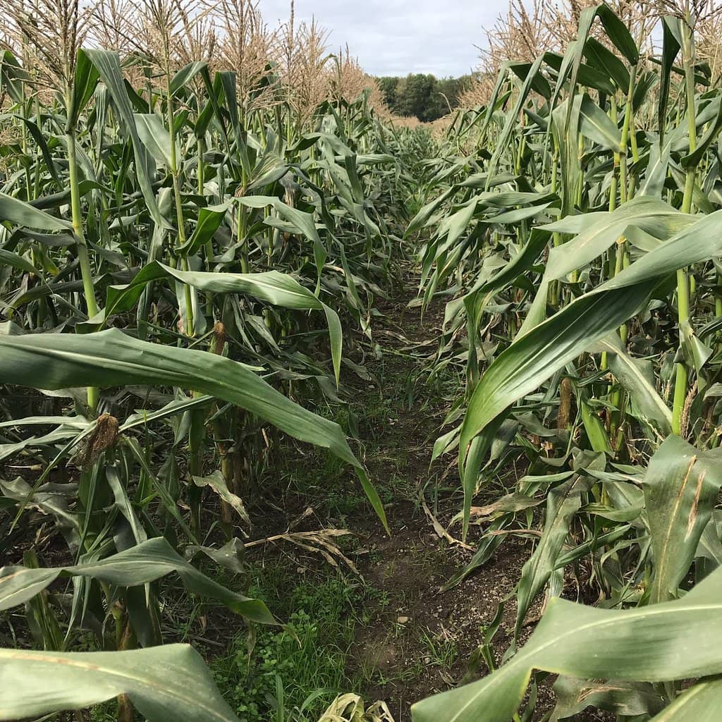 Winter Motocross Thrills