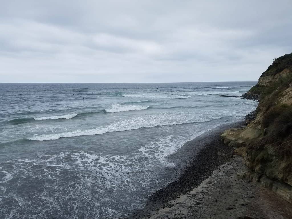 Tide Pool Exploration