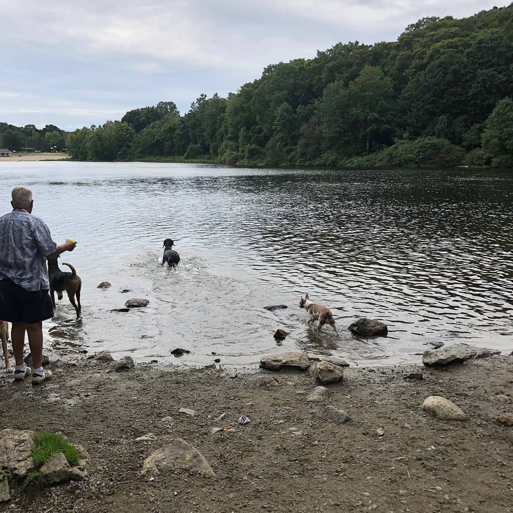 Refreshing Water Bodies
