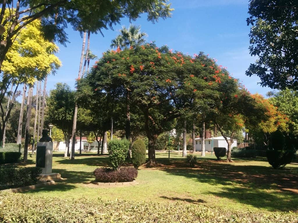 Shady Tree-Lined Paths