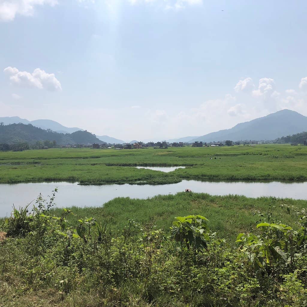 Local Fishing Experience