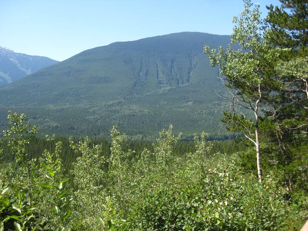 Moderate Rock Basin Hike