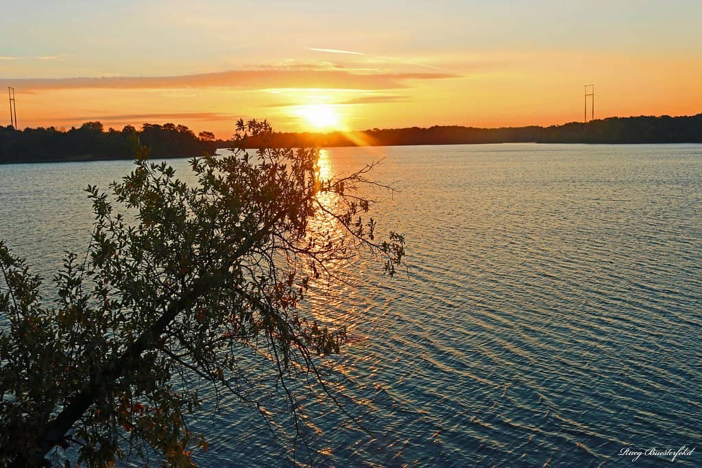 Mountain Biking Trails