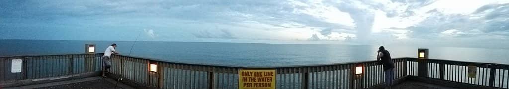 Sailfish & Tarpon Sightings