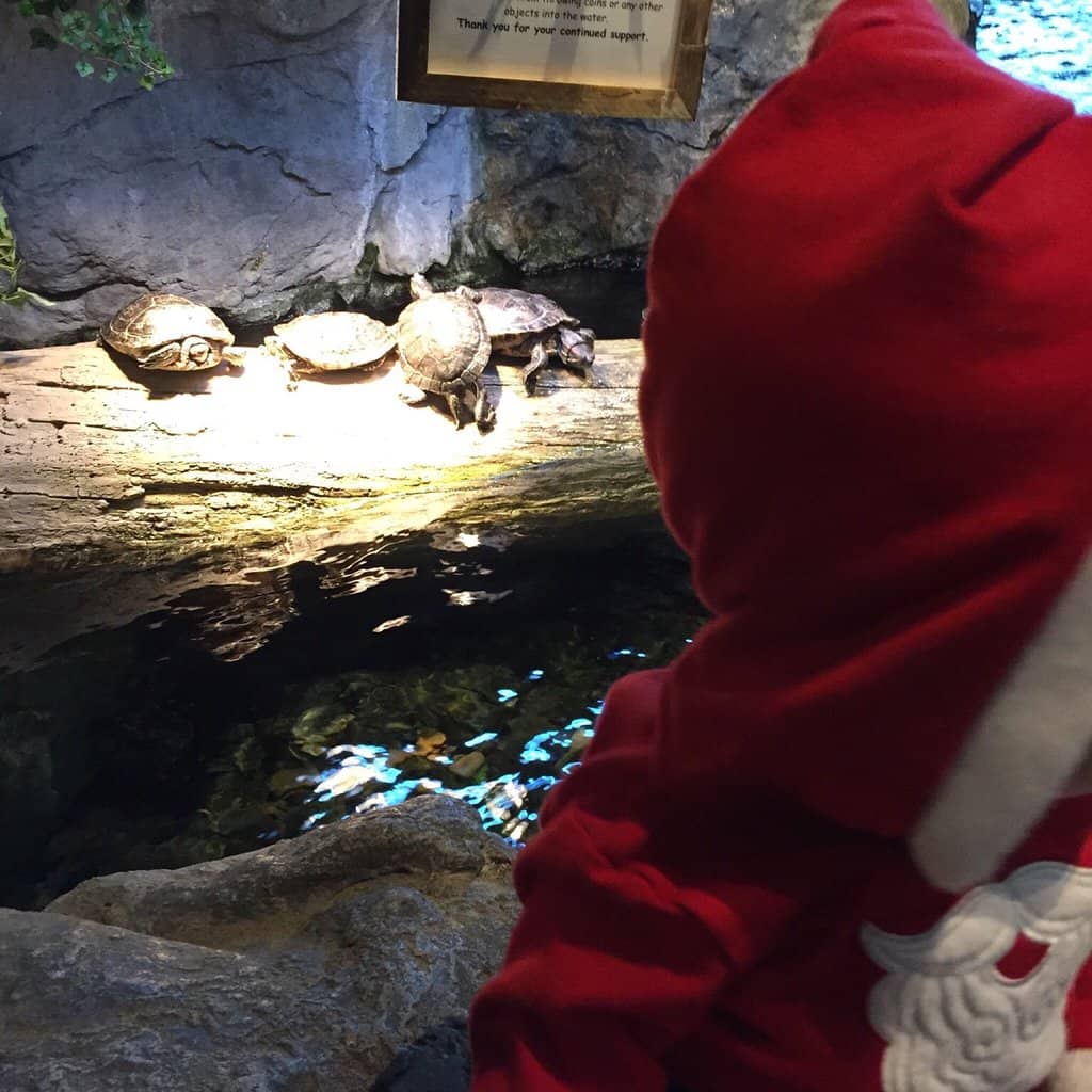 Exclusive Apparel & Memorabilia