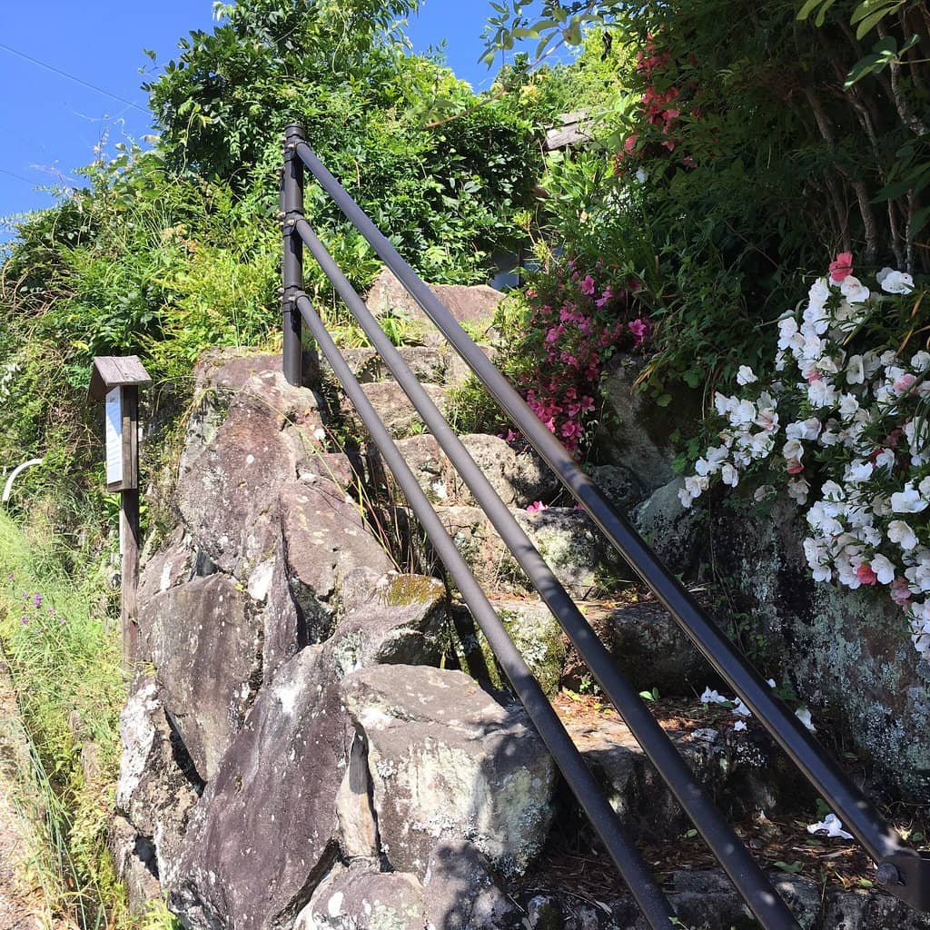 Vertical photo