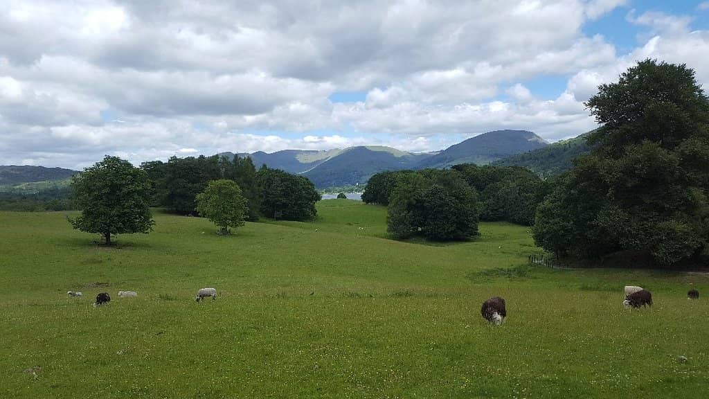 Blelham Tarn Circular Walk
