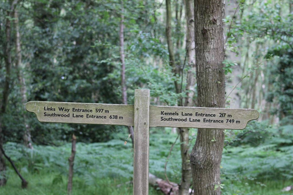 Kids' Adventure Playground