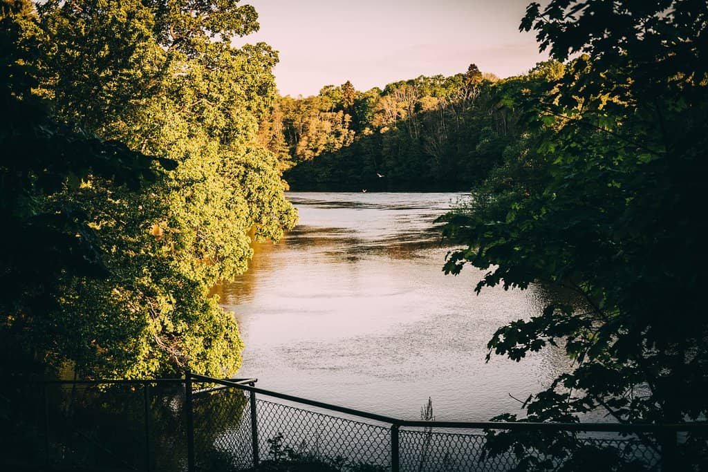 Riverside Strolls
