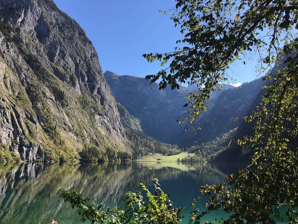 Fischunkelalm