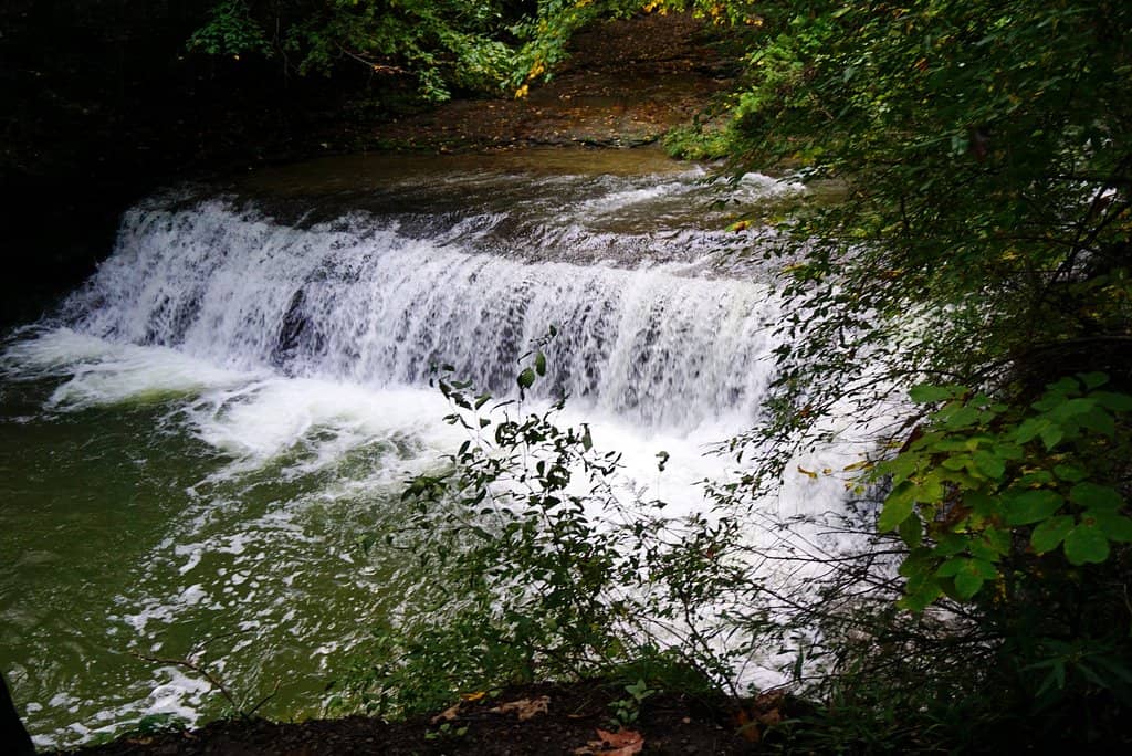 Enfield Falls Swimming Hole