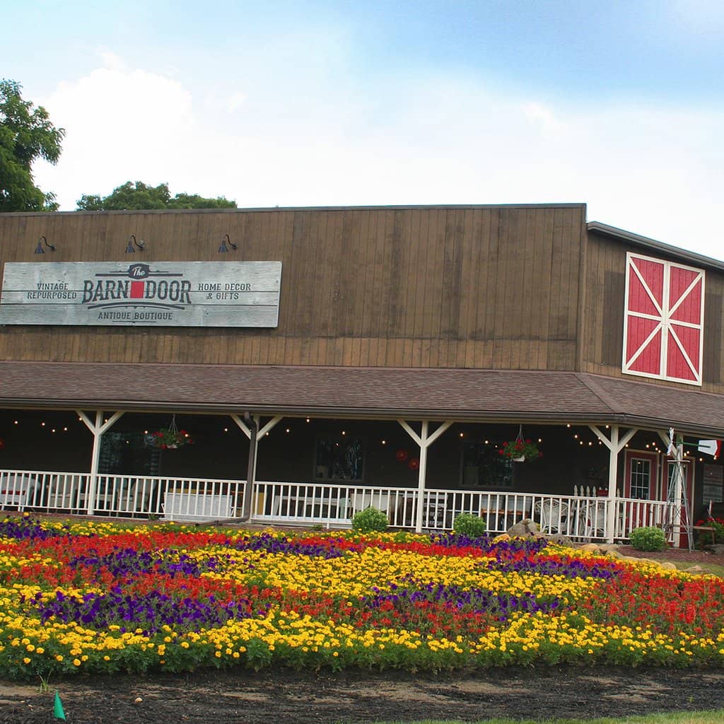 Viewing Stands