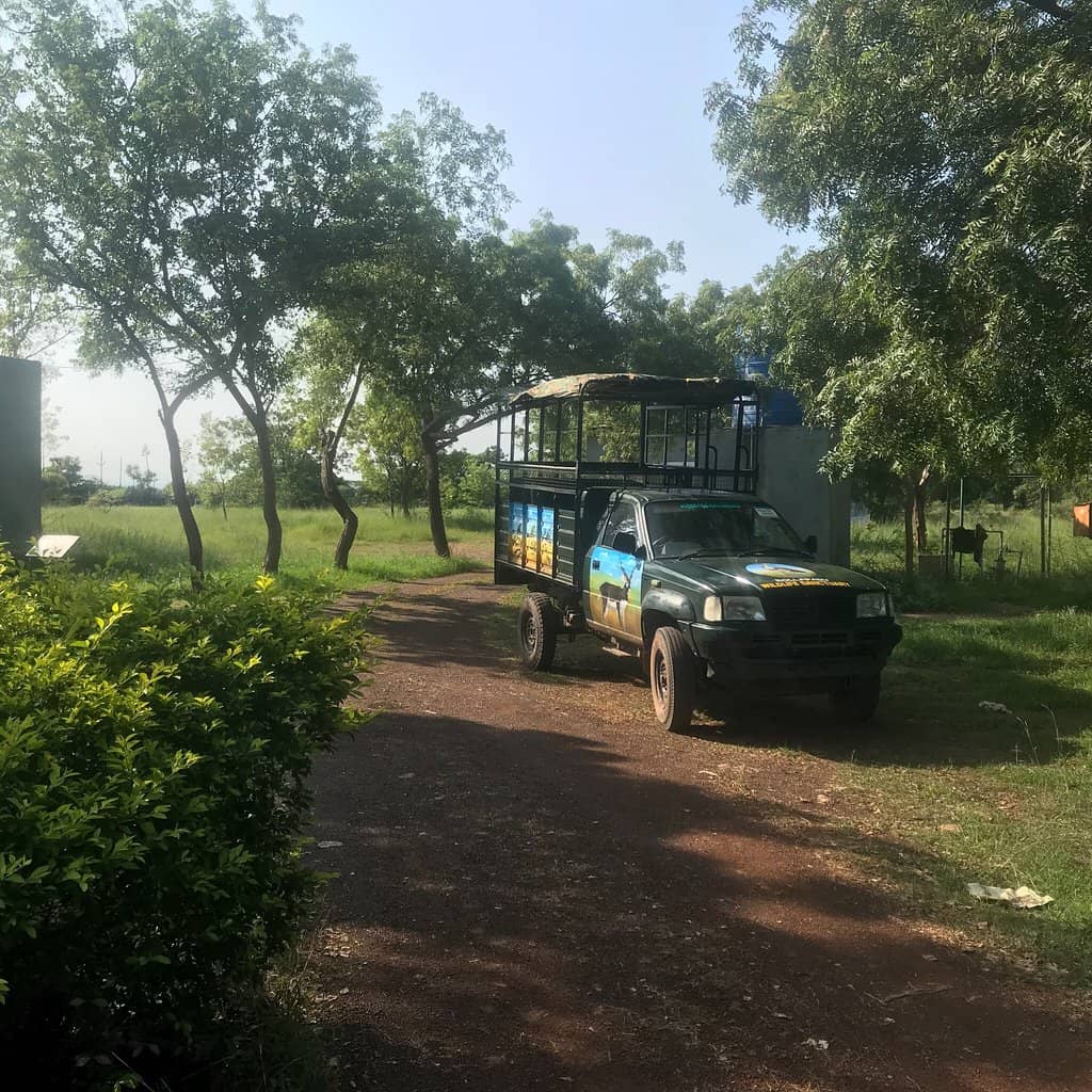 Birdwatching Opportunities