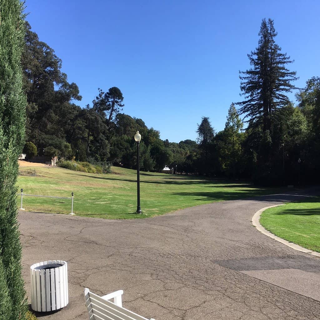 Gatsby Summer Afternoon