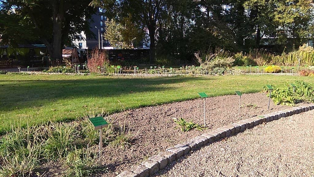 Biodiversity Hotspot