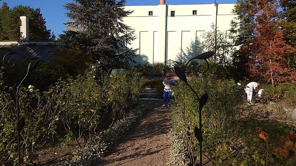 Peaceful Green Oasis