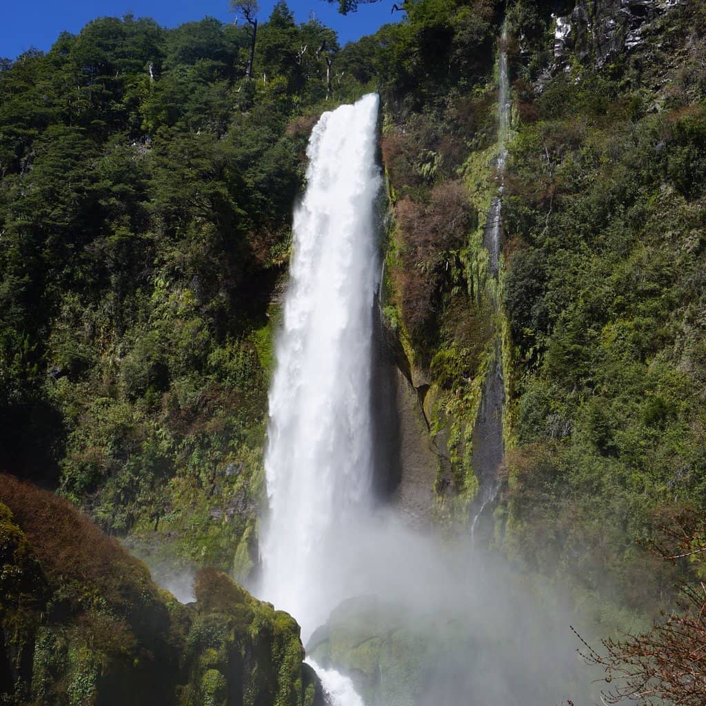 Scenic Forest Trail