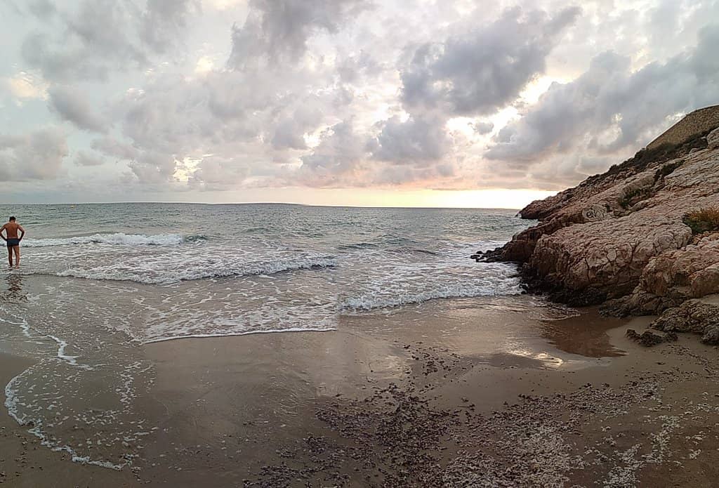 Designated Dog Beach Area