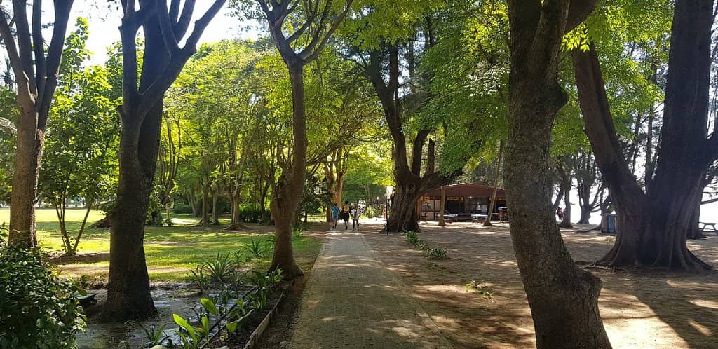 Water Sports Adventures