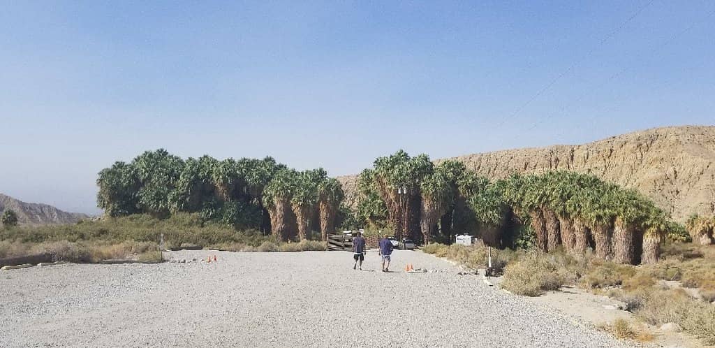 Culinary Delights at Indio Central Market