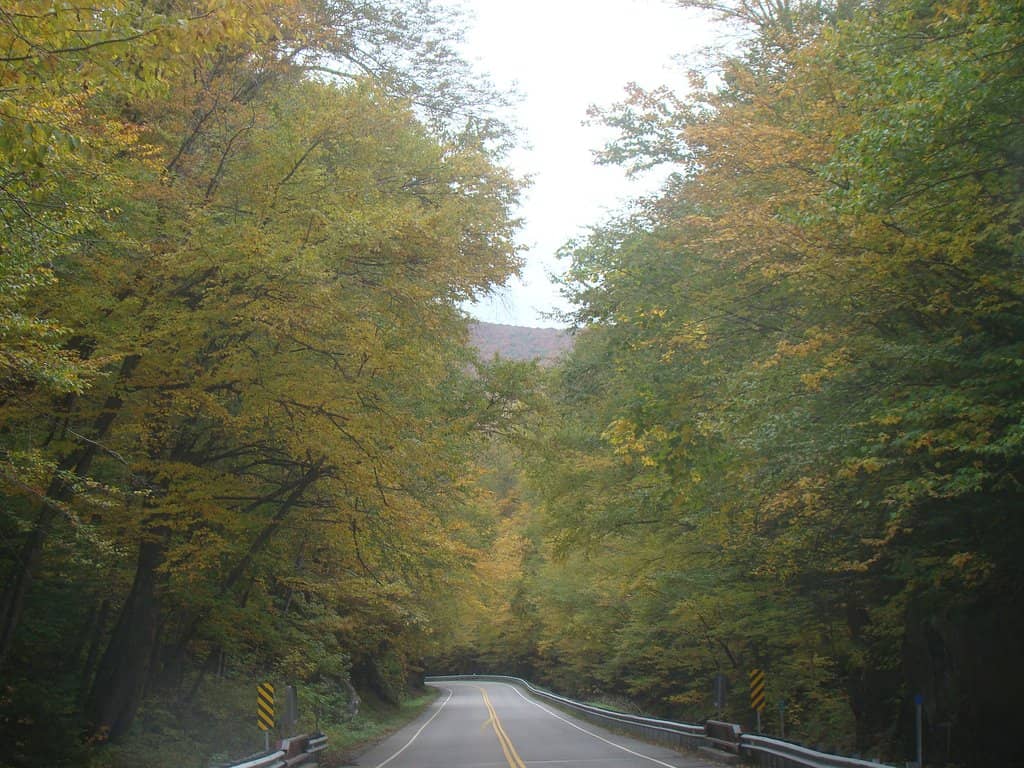 Mossy Gorges and Pools