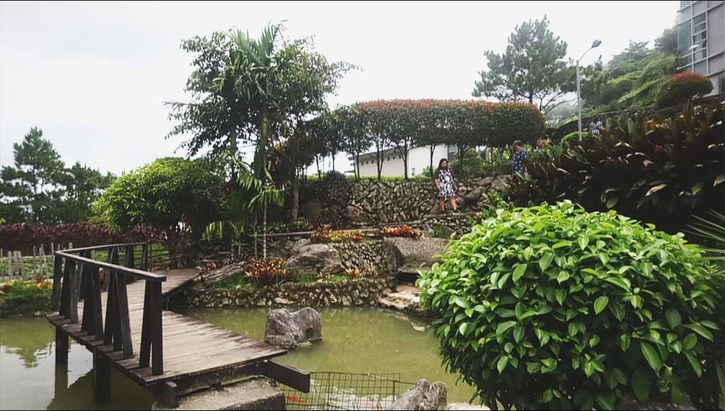 Sculpture Garden & Koi Pond