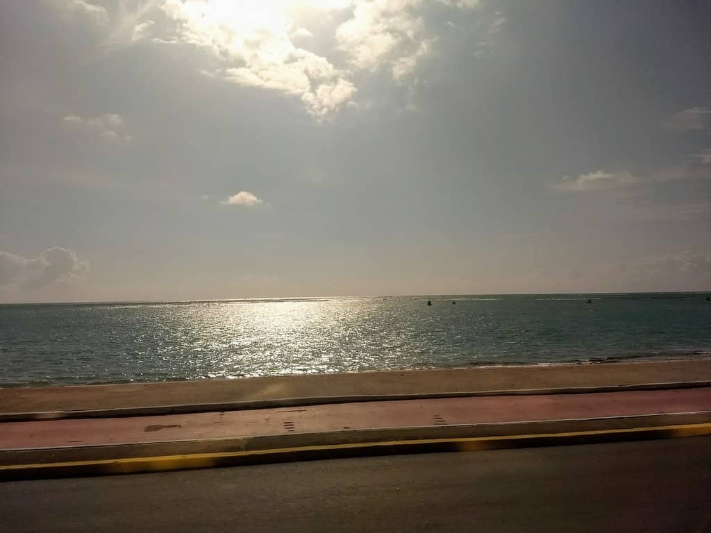 Vibrant Beachfront Bars