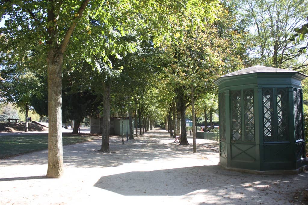 Picnic-Perfect Lawns