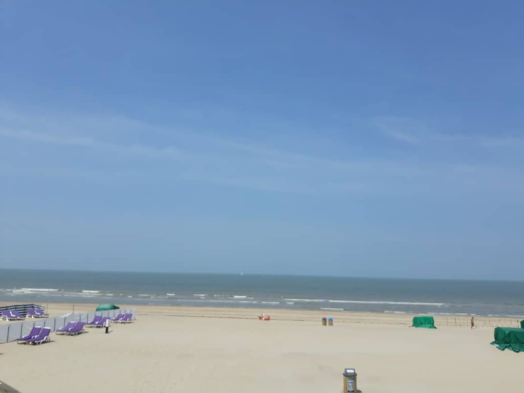 Belle Époque Architecture