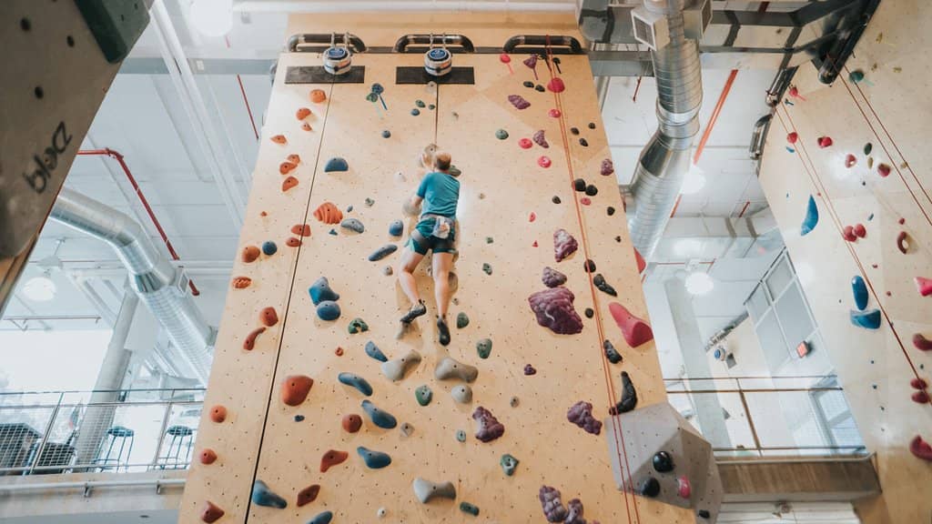 Basement Gym & Yoga Studio