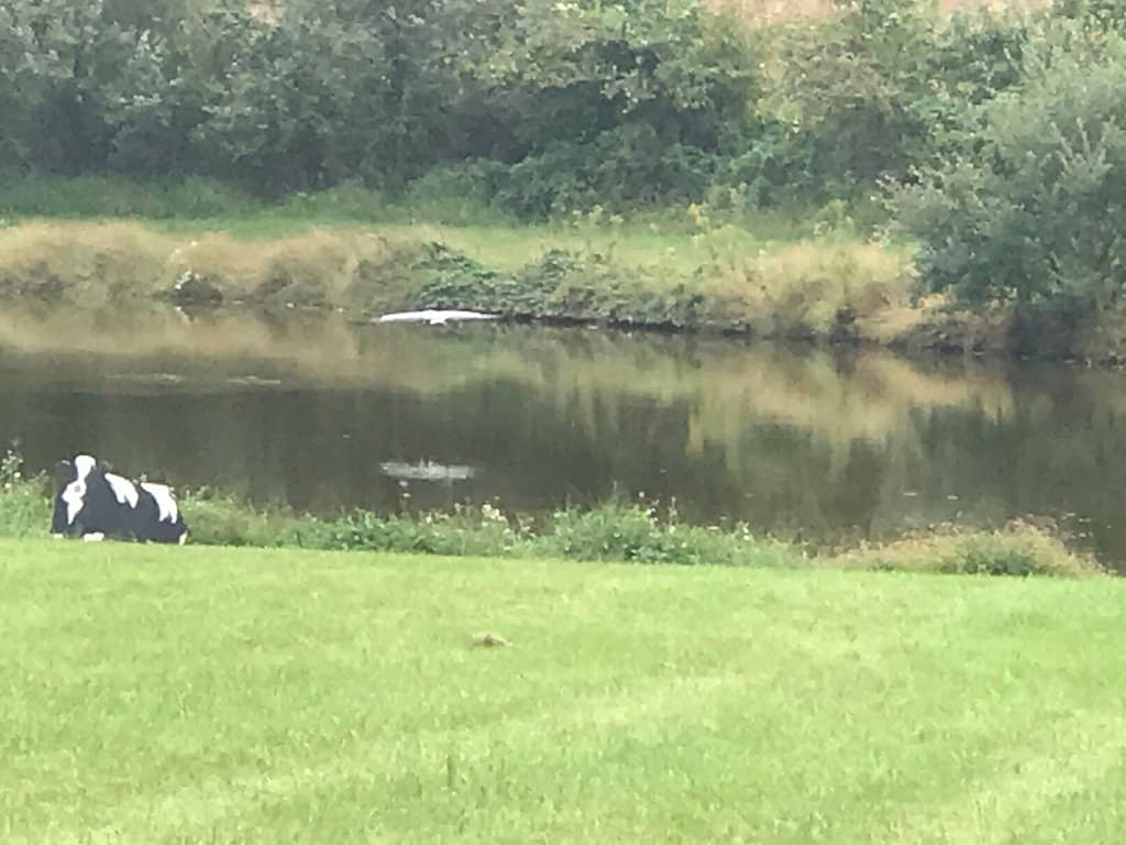 Rustic Barn Ambiance