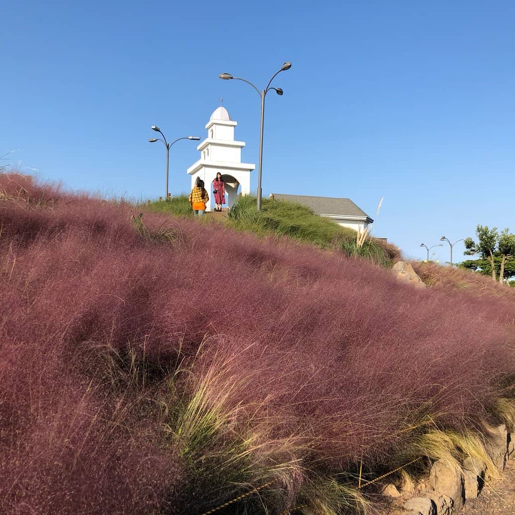 Magical Night Lights