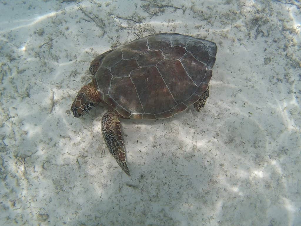 Relaxing on the Pier