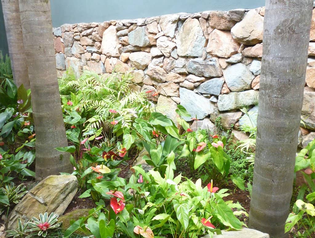 Vertical photo