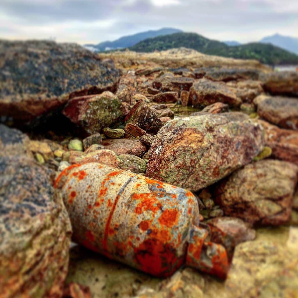 The Lively Seafood Market