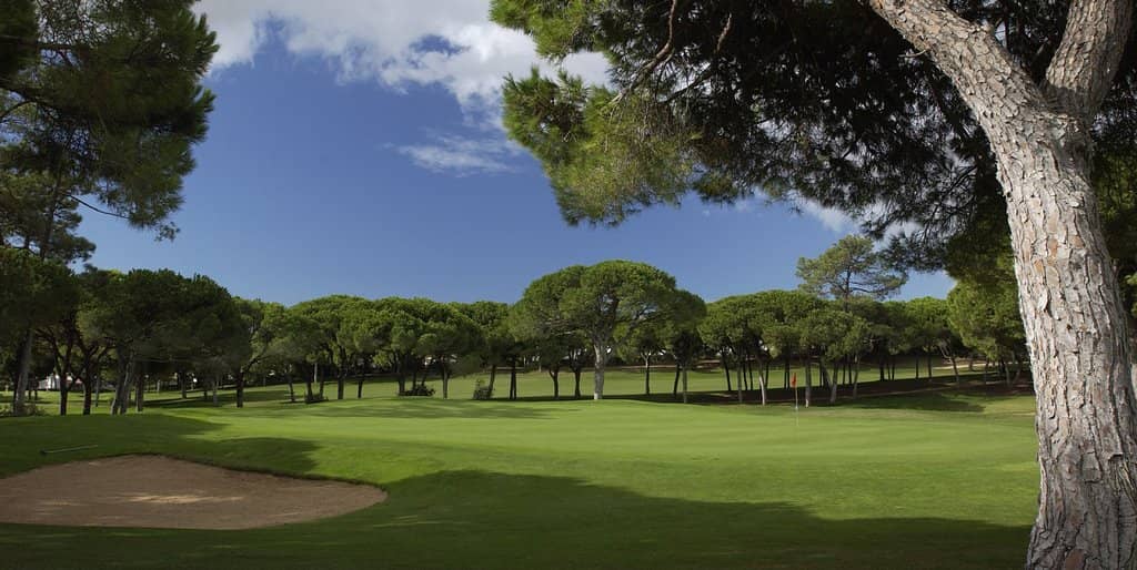 Challenging Greens
