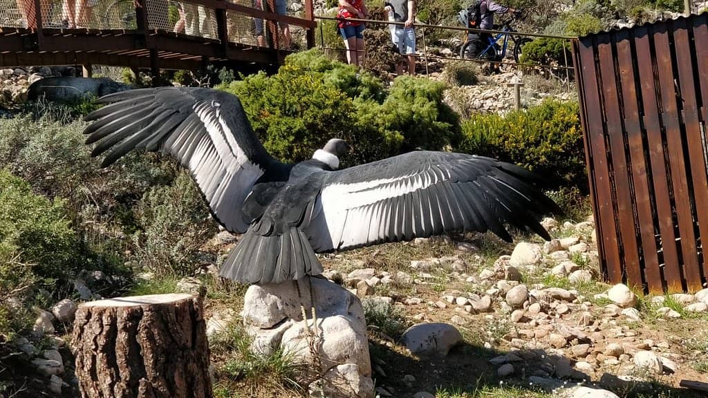 Panoramic Mountain Views