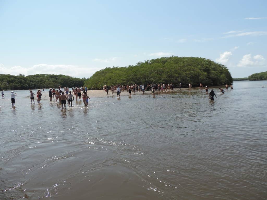 Birdwatching Paradise