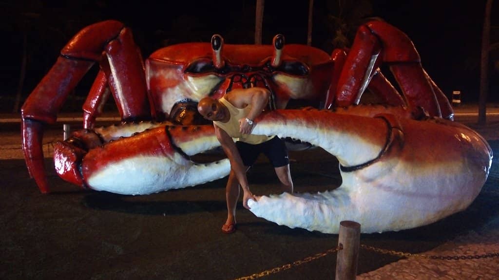 Seafood Delights