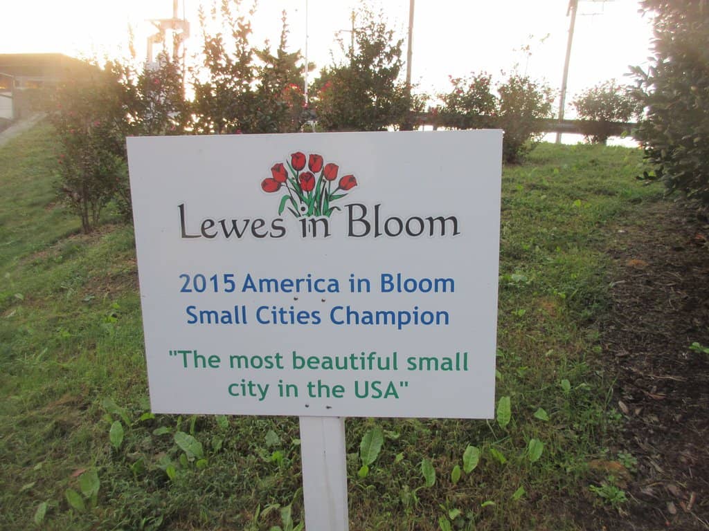Bombardment of Lewes Plaque