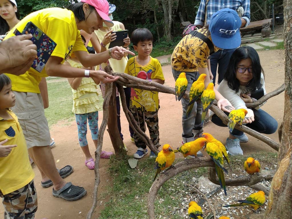 Family-Friendly Fun
