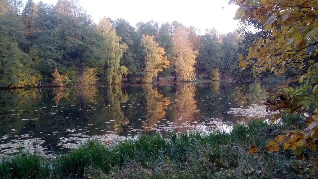 Children's Playgrounds