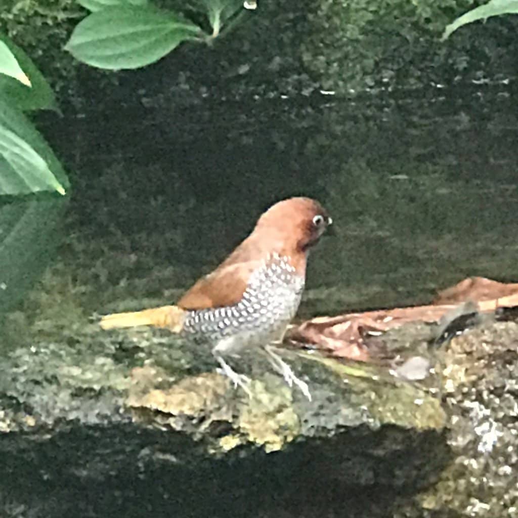 Interactive Museum Exhibits