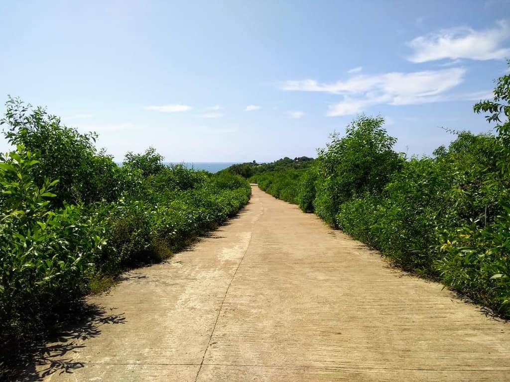 Kudle Beach Vibe