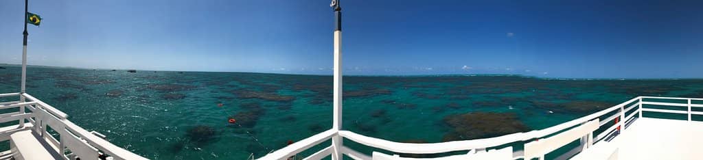 Abundant Marine Biodiversity