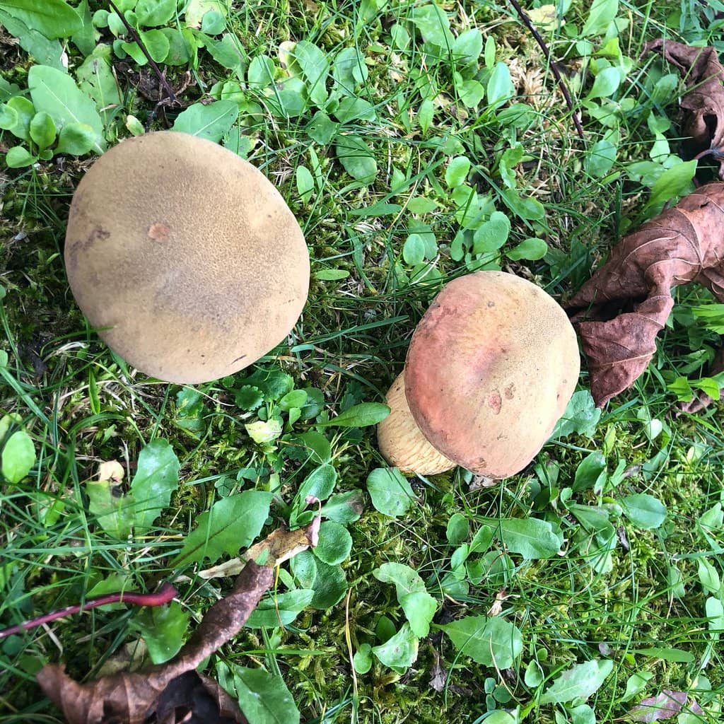 Children's Playground