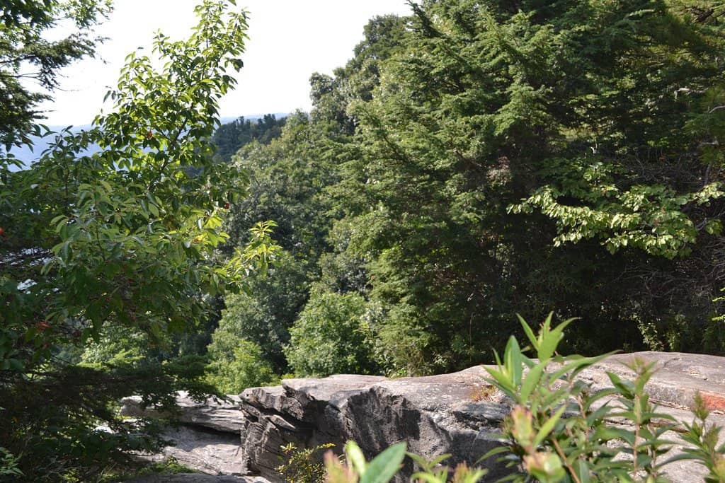 Raven Cliff Falls