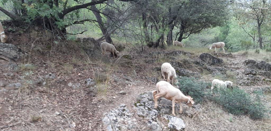 Hornos de Segura