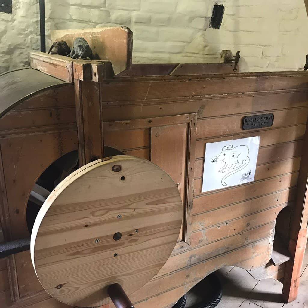 Local Flour & Souvenirs